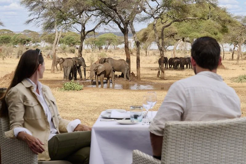 Enjoying lunch at the lodge while watching elephants in Tarangire National Park, Tanzania.