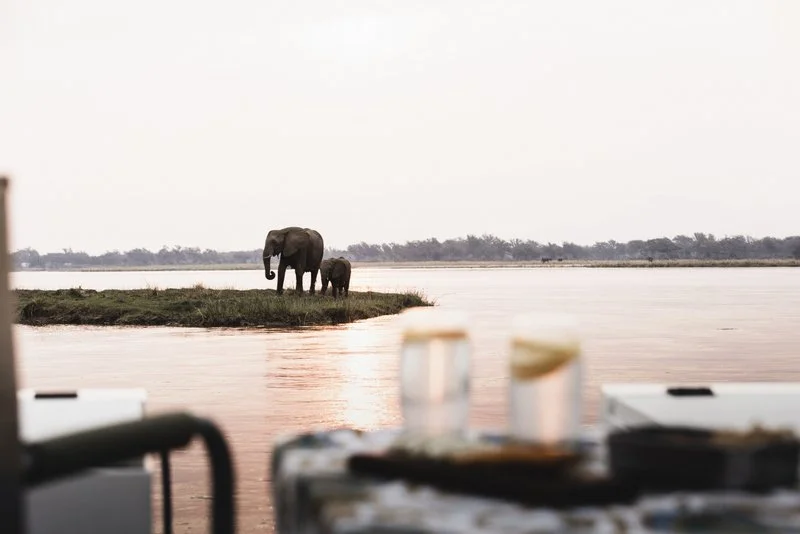Sundowner & Elephants | Zimbabwe Lodge