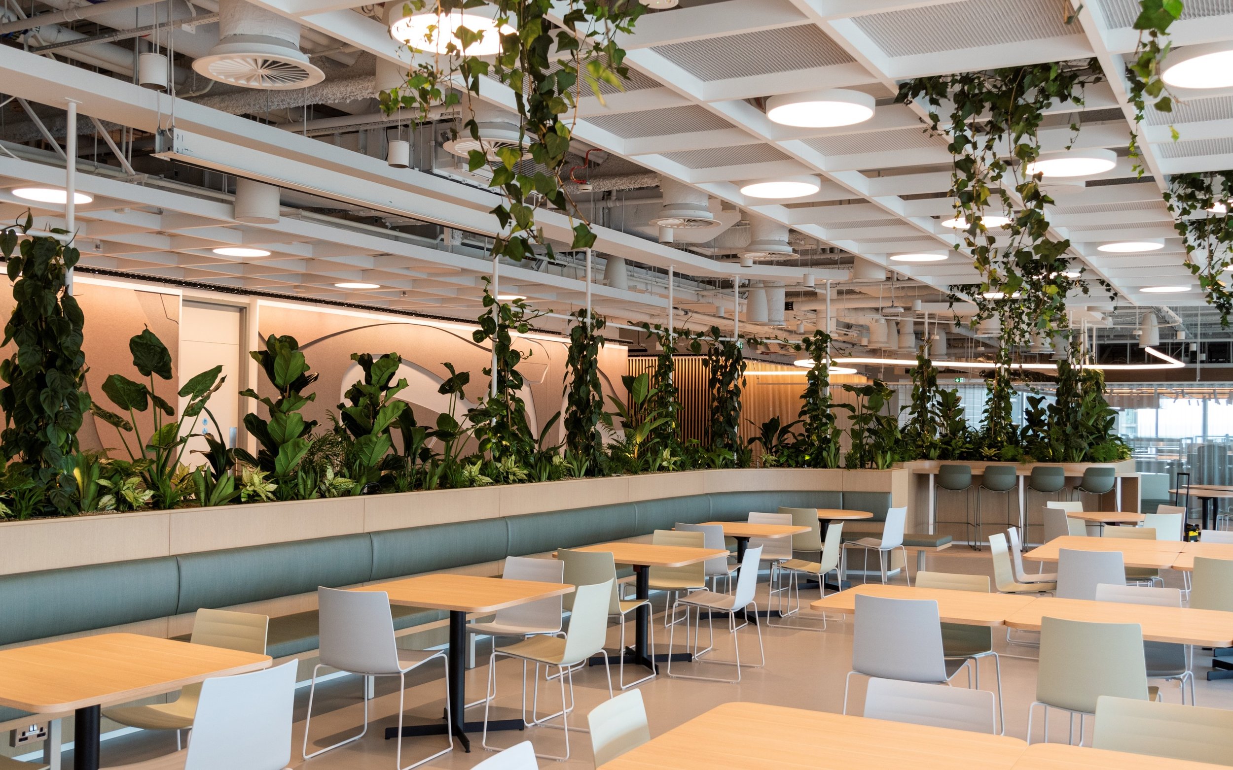 Biophilic workspace