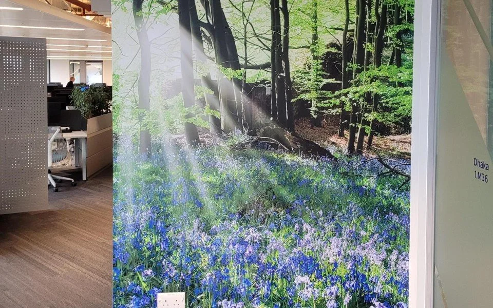 Bluebell wall manifestation