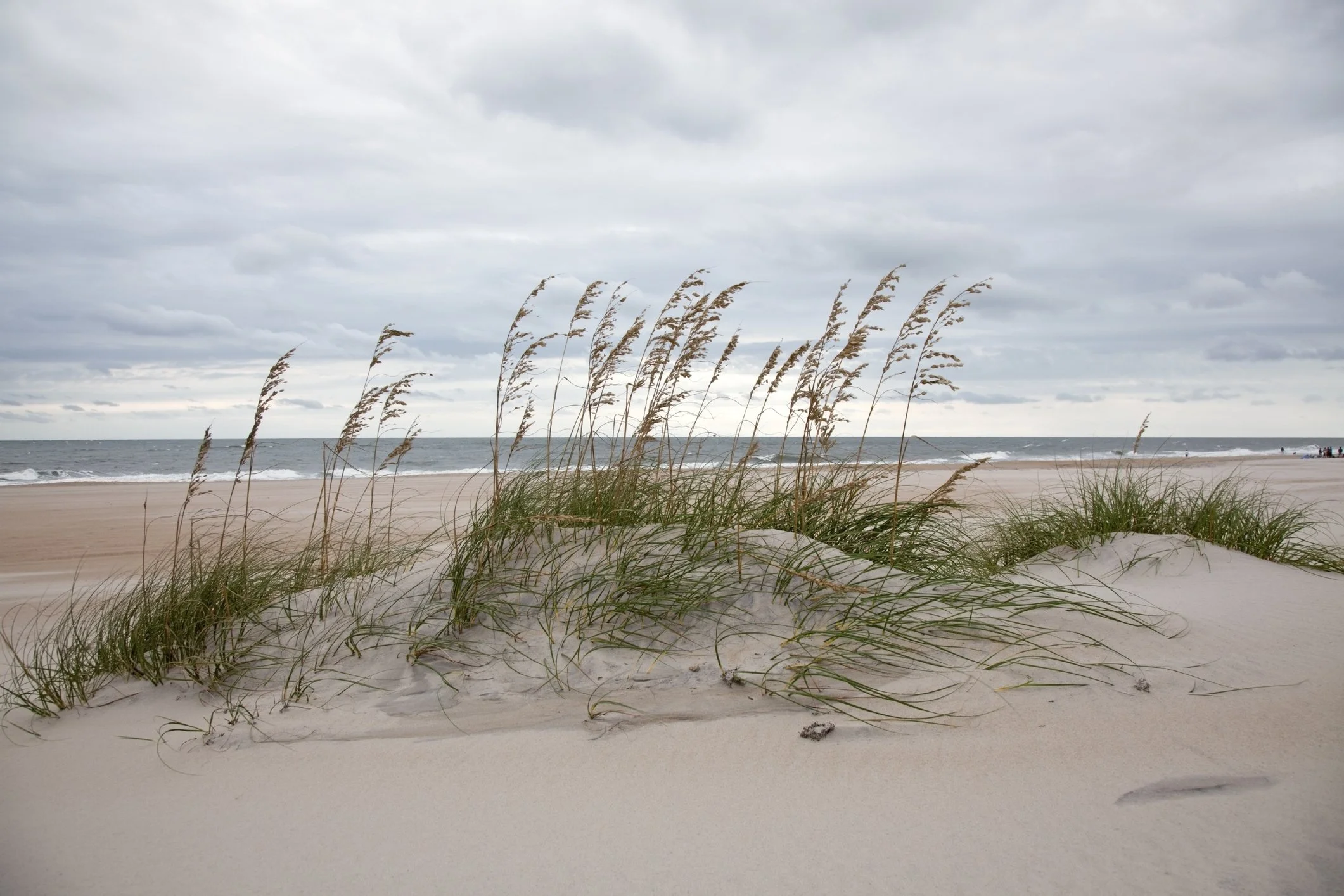 Sandy beach with green and brown beach grass in foreground, overcast sky with gray clouds, the ocean in the background with gentle waves, and a few people walking along the shoreline.