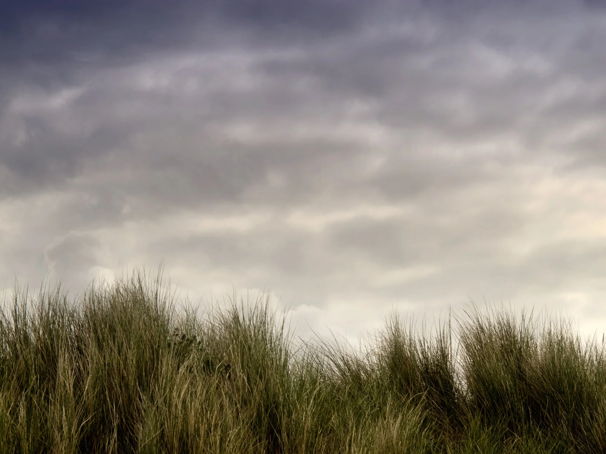Grassy landscape with dark, cloudy sky overhead.