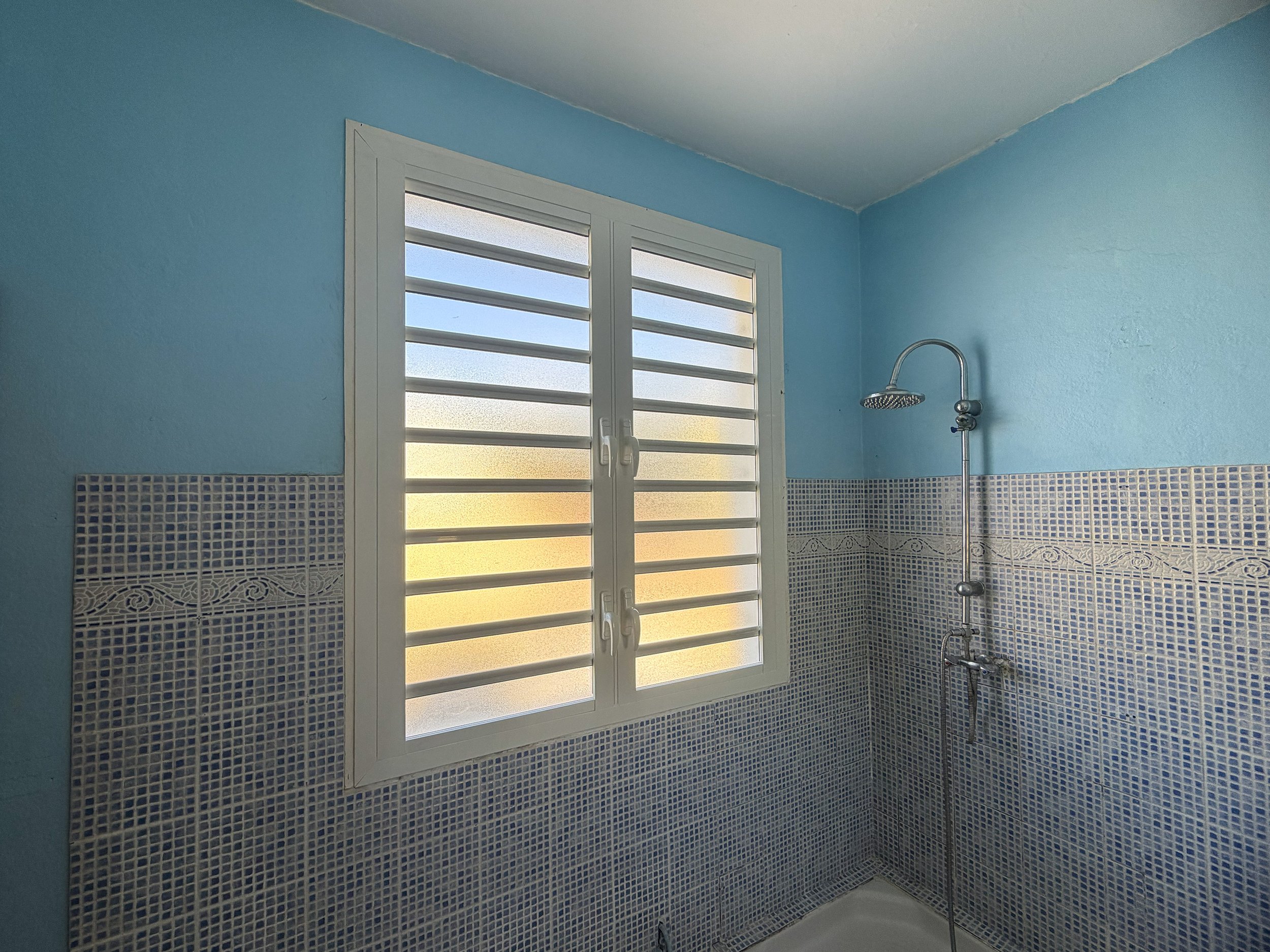 Bathroom with blue walls, a window with frosted glass panels, and a showerhead on the right side.