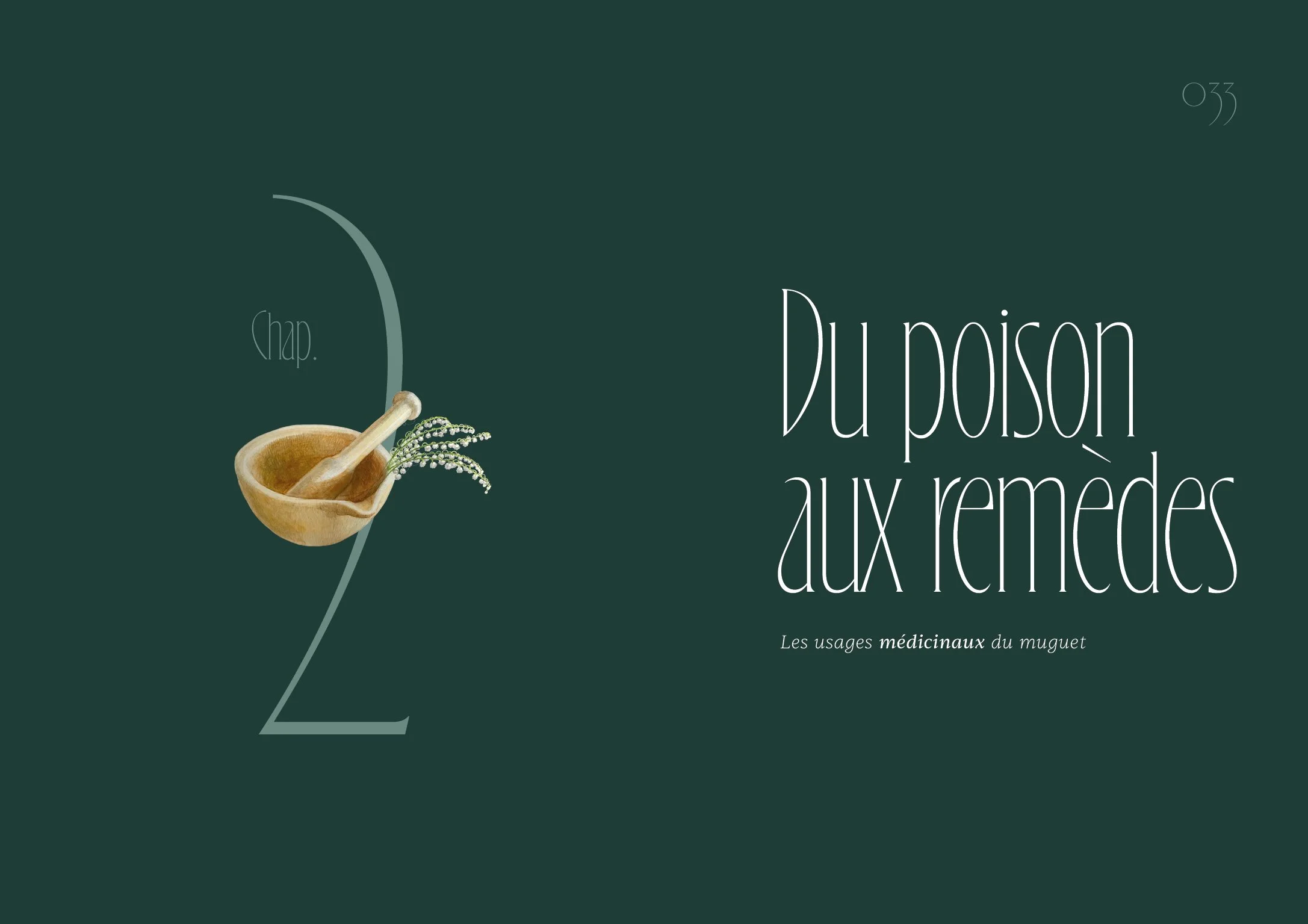 Ouverture du chapitre 2 de "Clochettes, une histoire du muguet". Le titre du chapitre est "Du poison aux remèdes", sous-titre "Les usages médicinaux du muguet". Illustration de Domitille Héron : un mortier et un pilon, avec du muguet dedans.