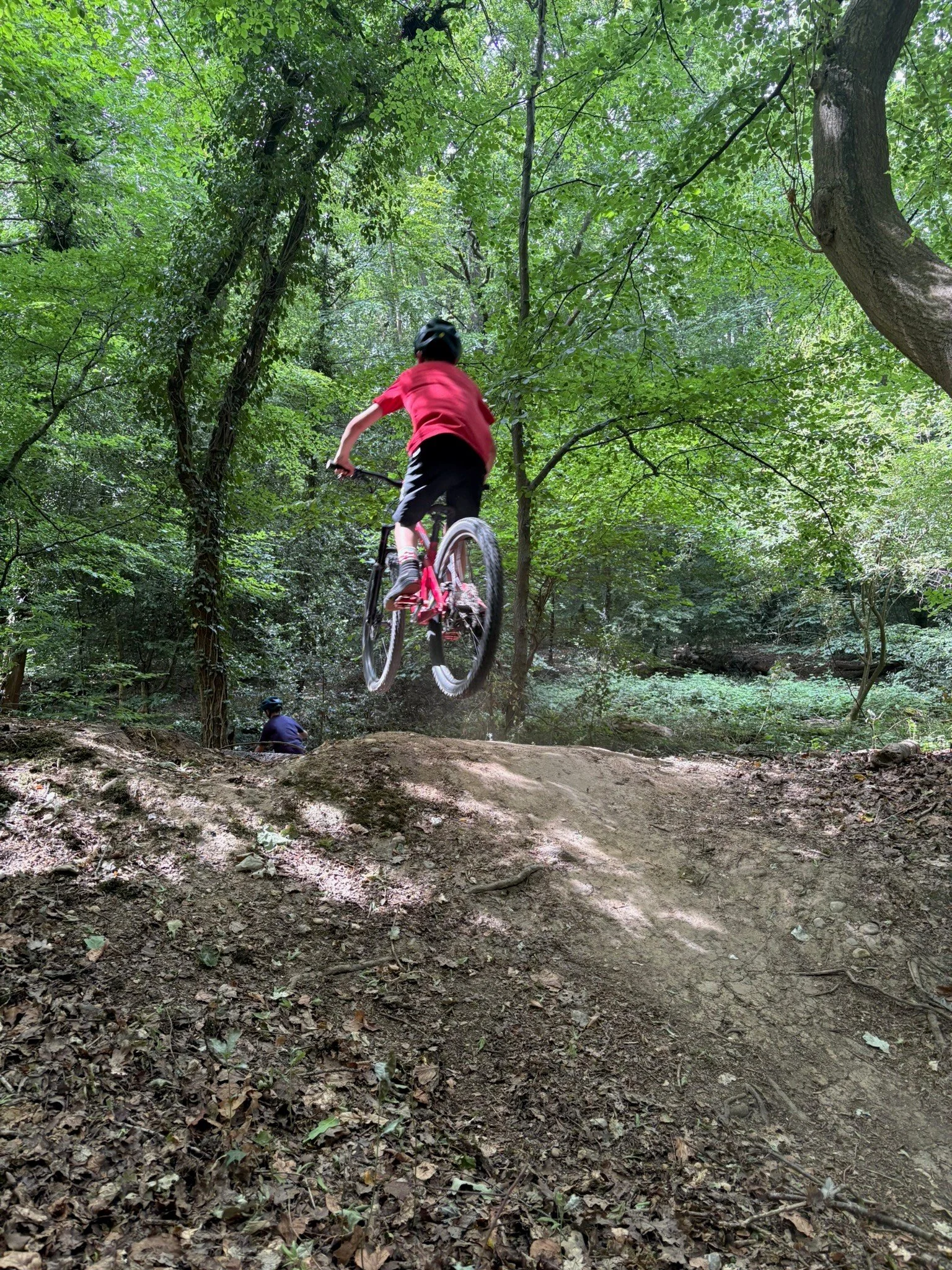 Older child doing a jump in woodland