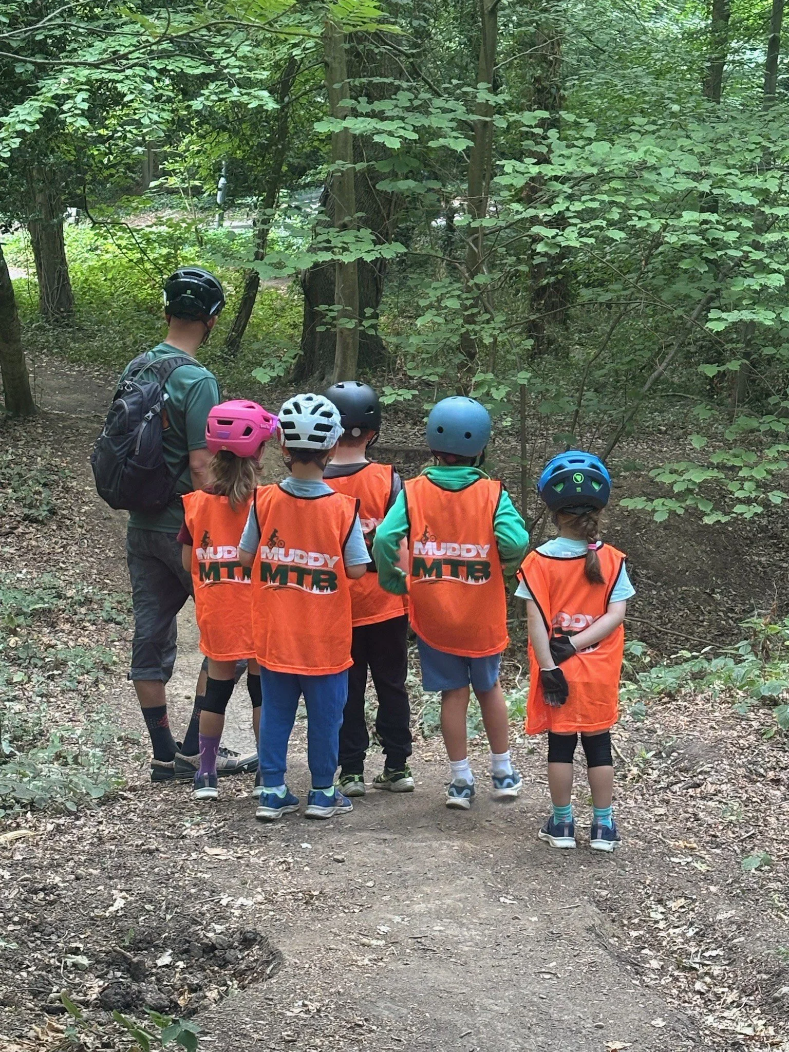 Kids looking out into woodland