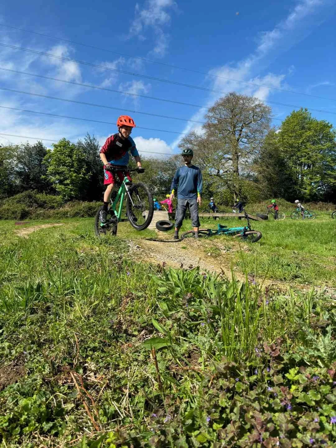 Kids riding bikes in a park on a sunny day, with shadows of trees and power lines in the background.