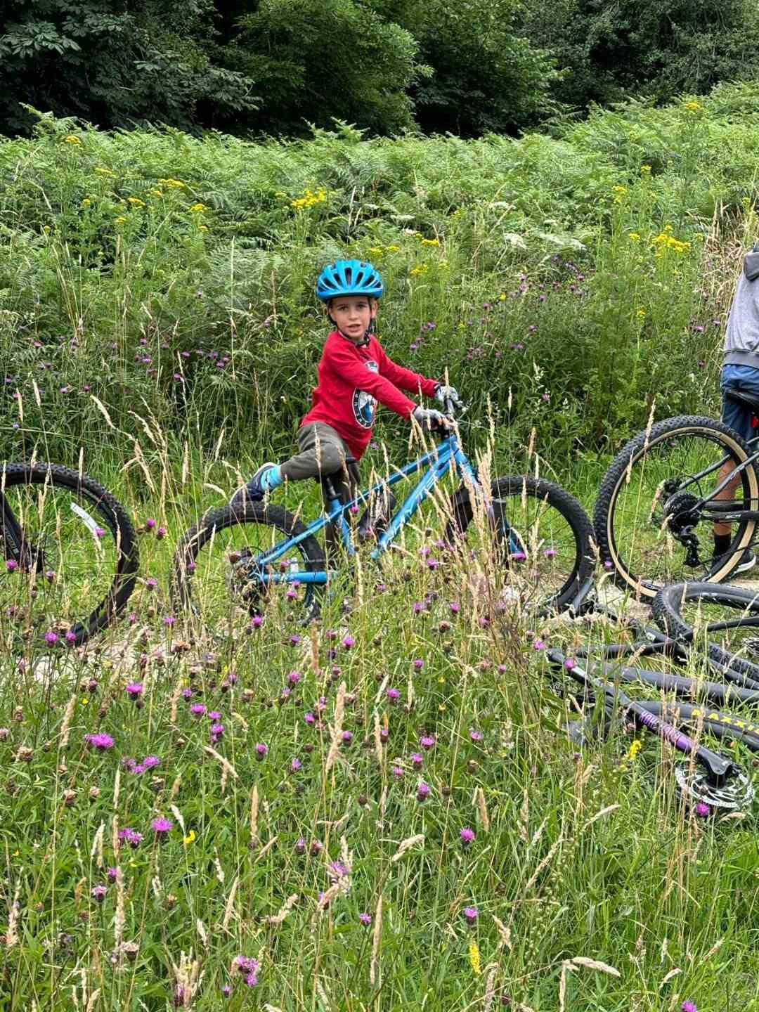 A young boy wearing a blue helmet and red shirt riding a blue mountain bike through tall grass and wildflowers in a lush green outdoor setting.