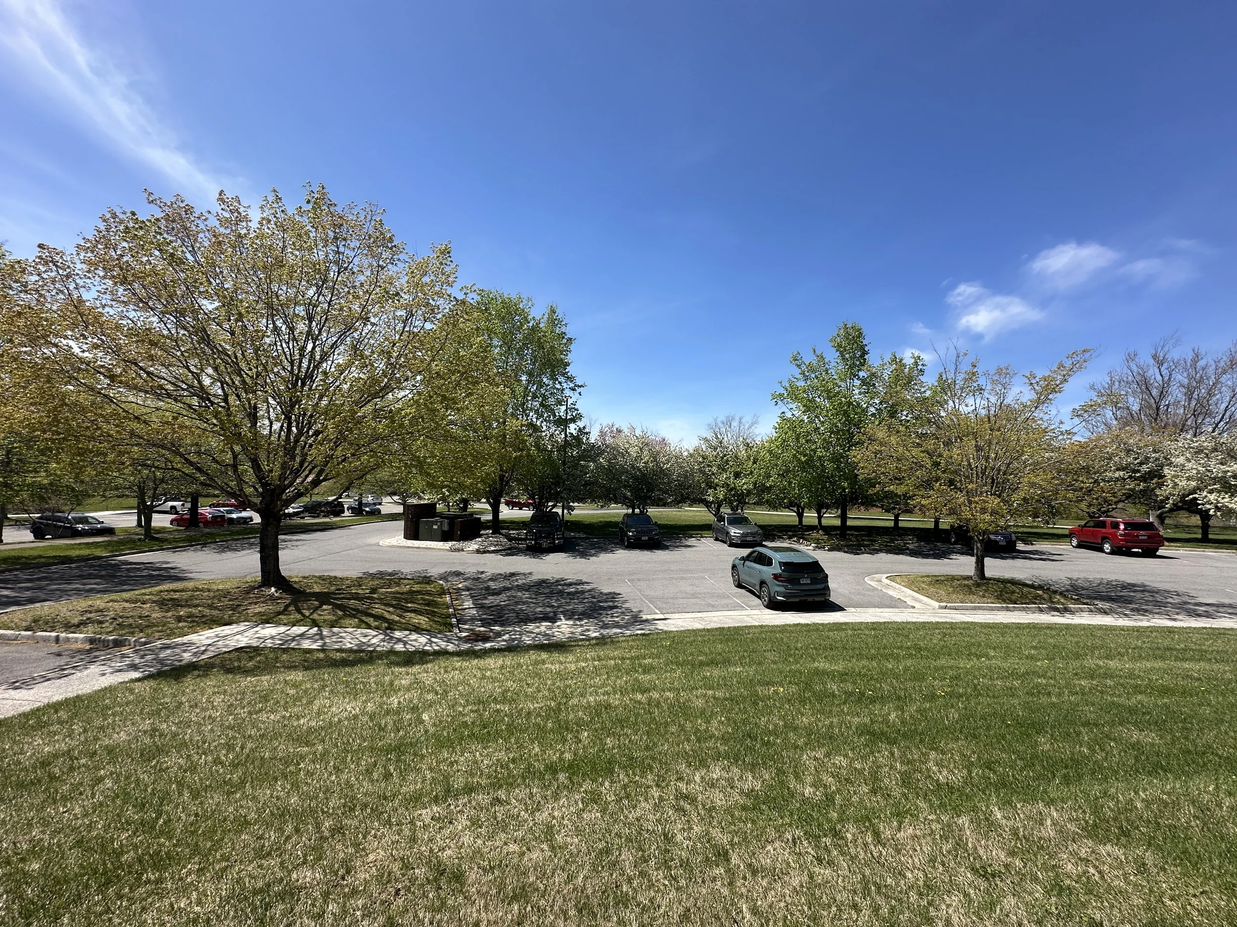 An Adjustment with a View: How We Designed the Adjust NRV Experience