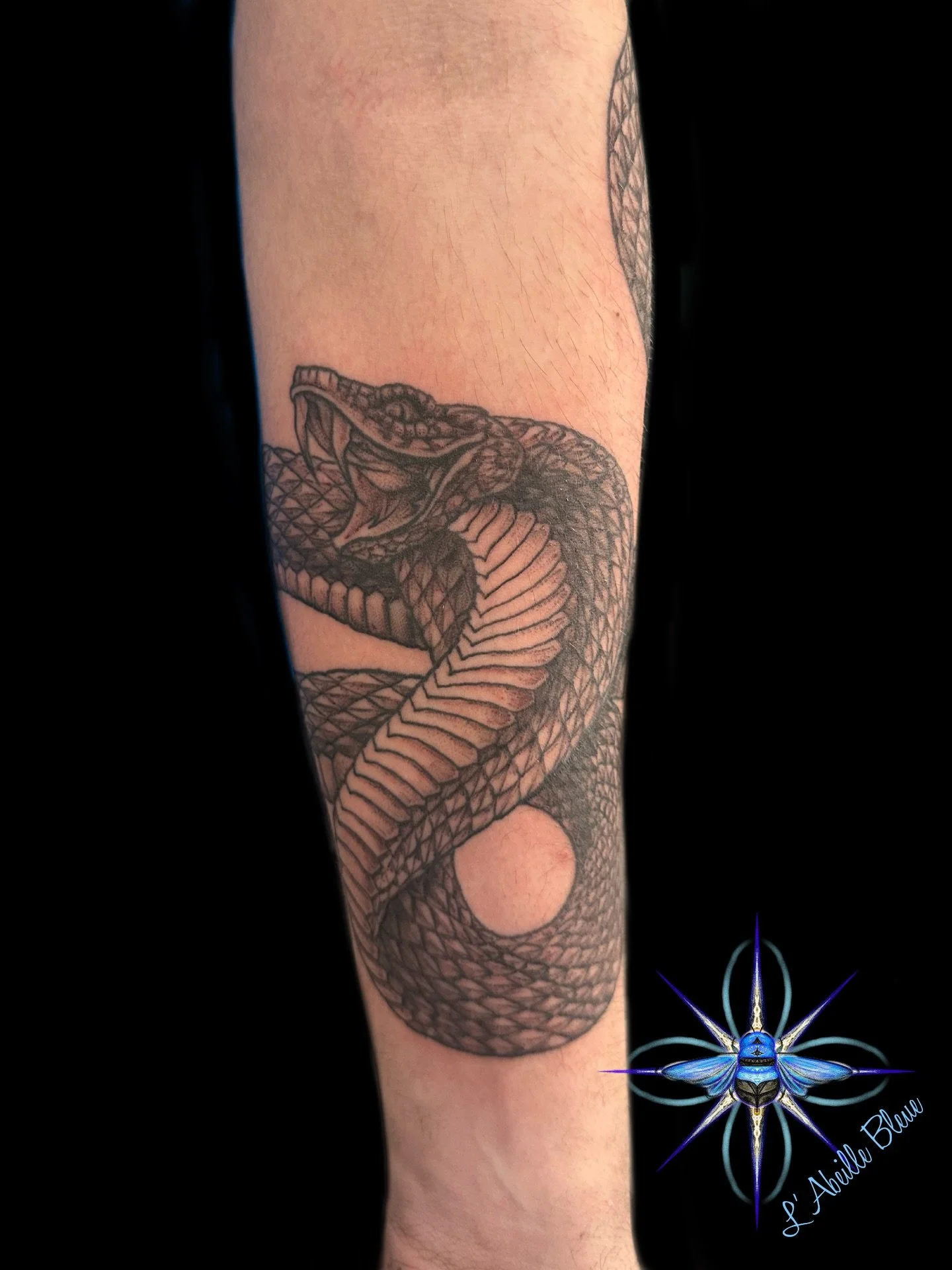Oh que j&rsquo;adooooooore les serpents! 

Pour son premier tatouage de sa vie, ce monsieur a d&eacute;cid&eacute; de faire un tr&egrave;s beau serpent qui descend tout le bras. Quel courage, quelle force, et quelle confiance! C&rsquo;&eacute;tait un