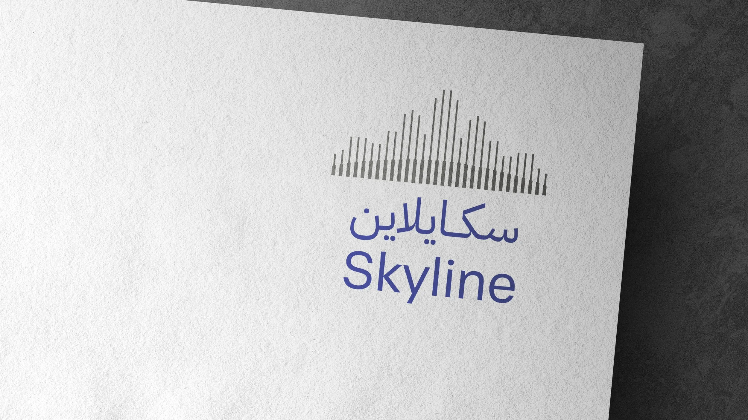 Logo with a stylized skyline in multiple gray vertical bars and the words 'Skyline' in English and in Arabic script beneath.