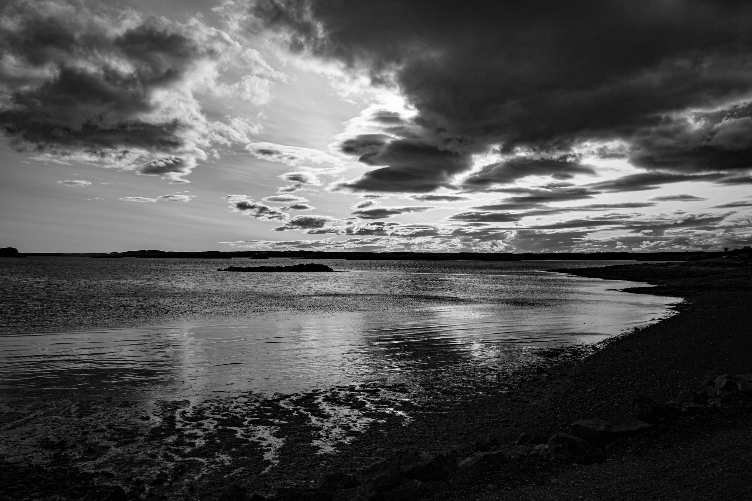 IMG_1685.jpg