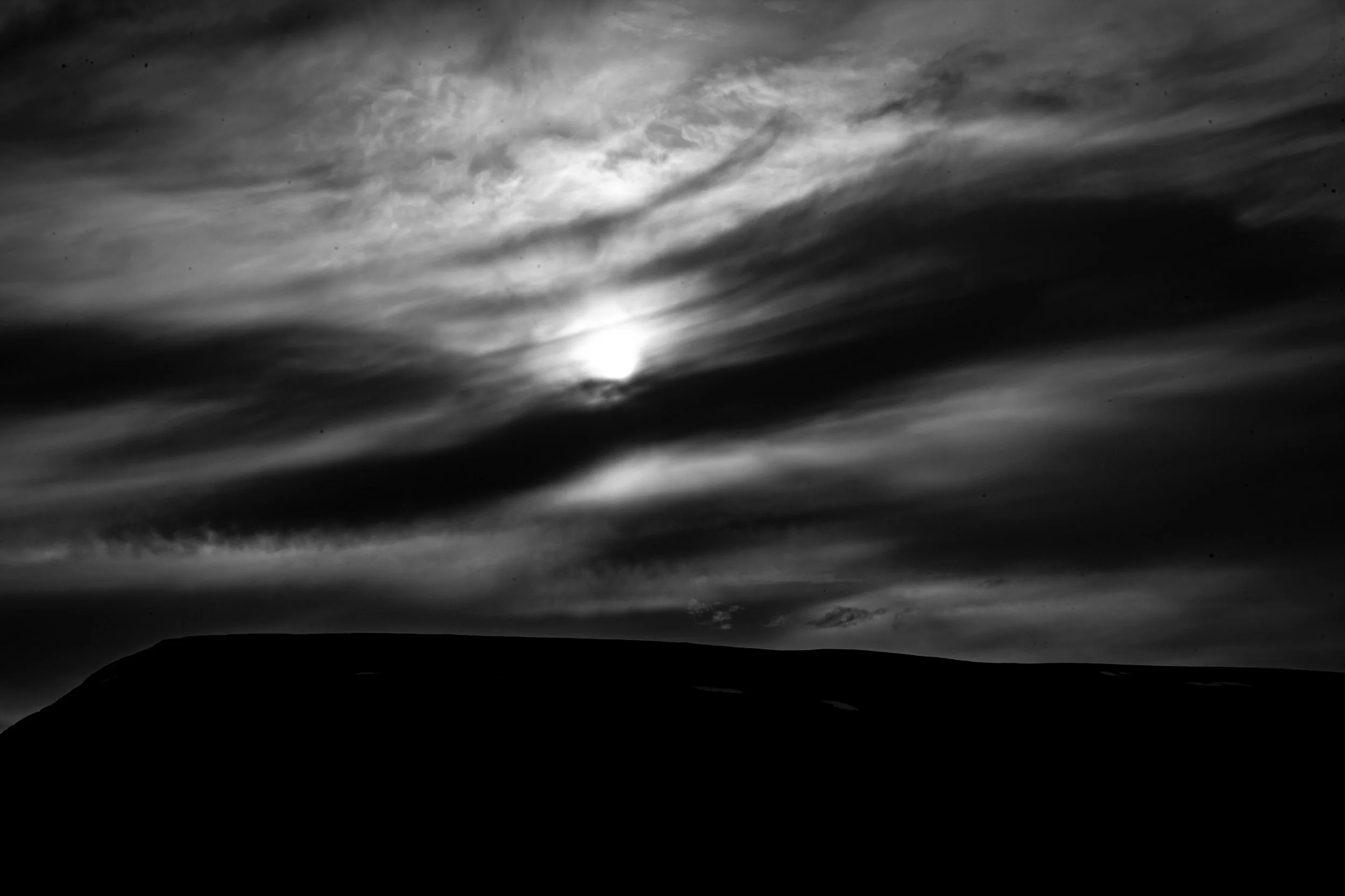 IMG_1960.jpg