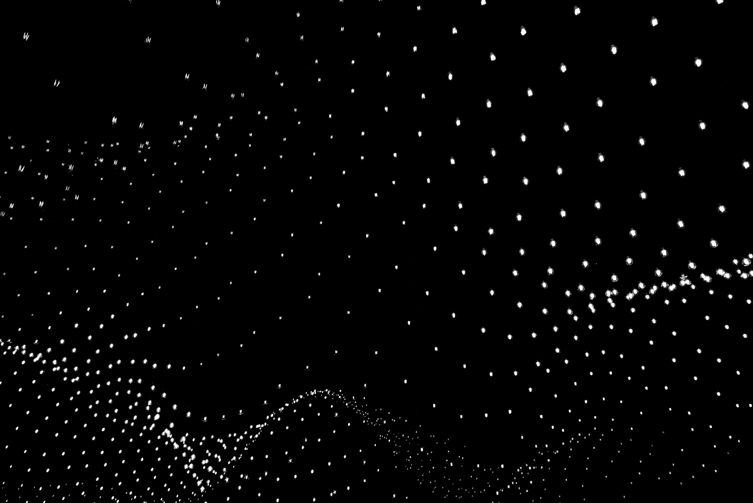 L1031392.jpg
