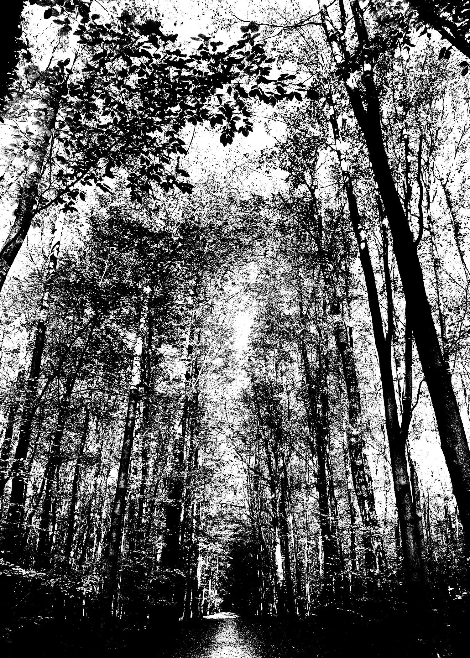 3E0A0128 copy.jpg