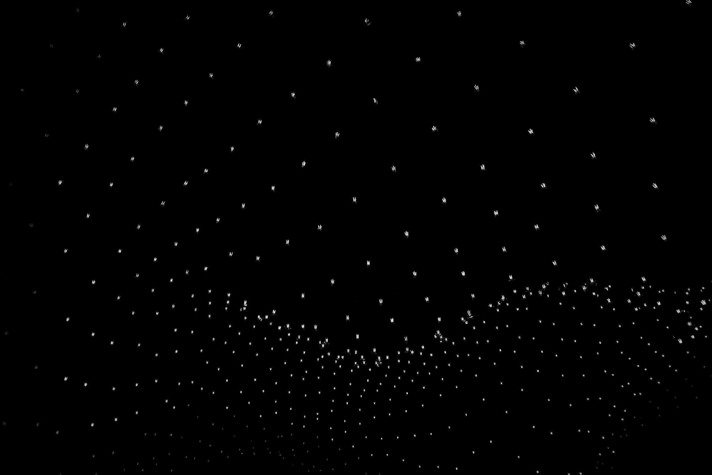 L1031393.jpg