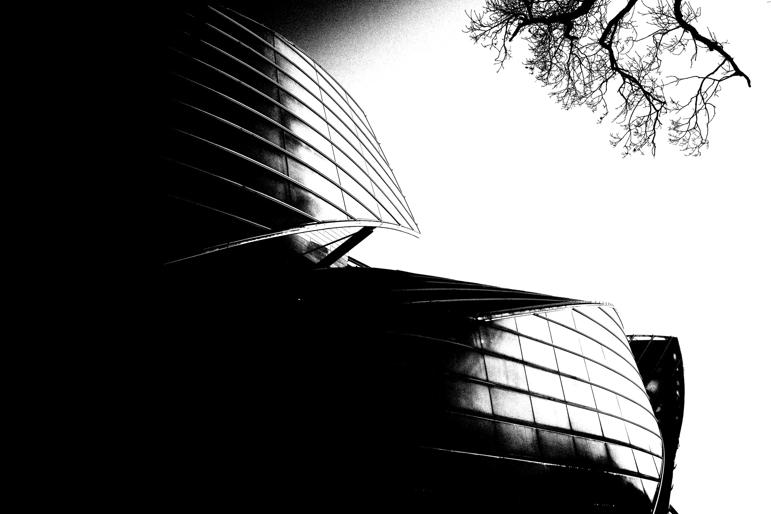 L1030786.jpg