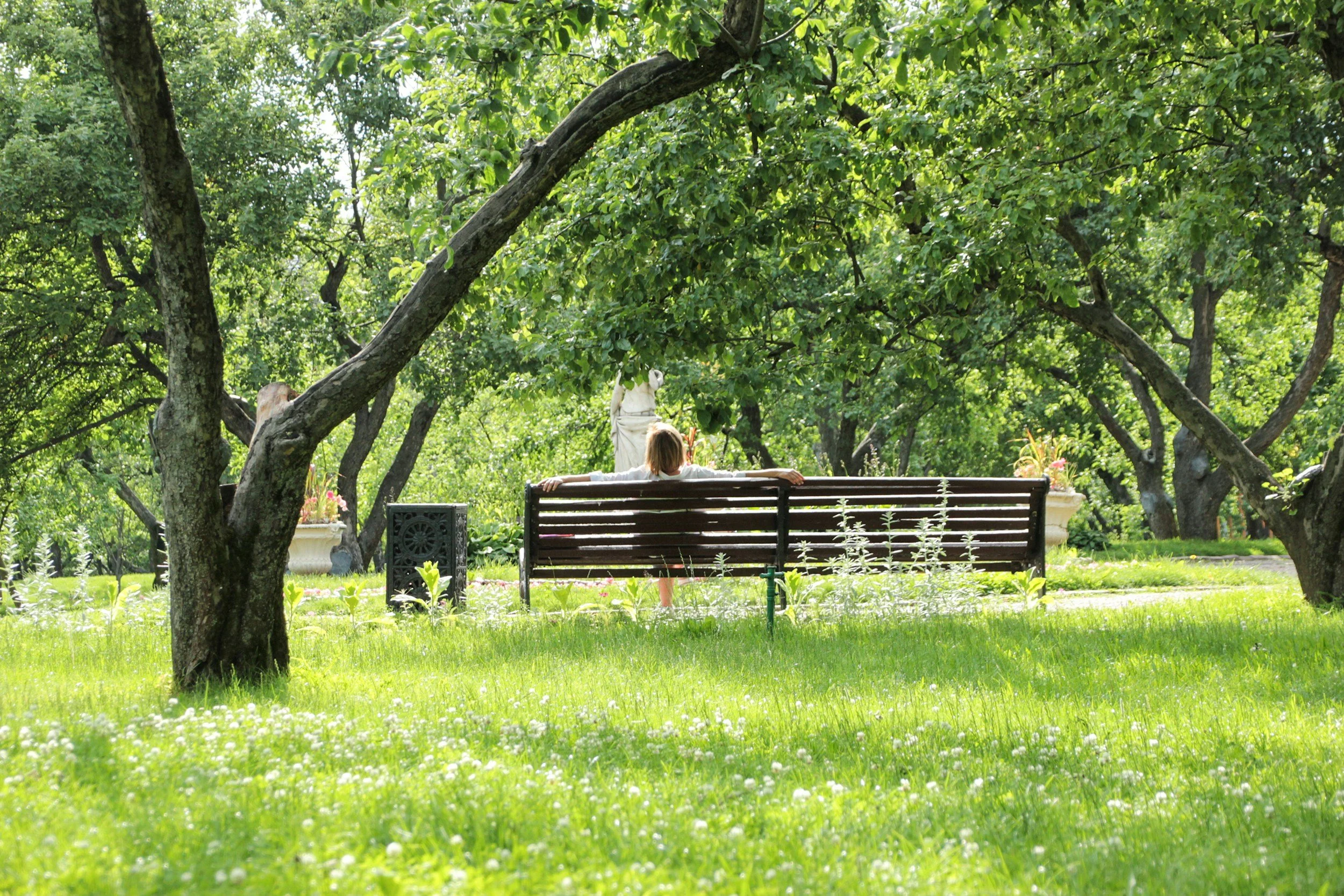 Person sitting on a park bench in a green, leafy garden.