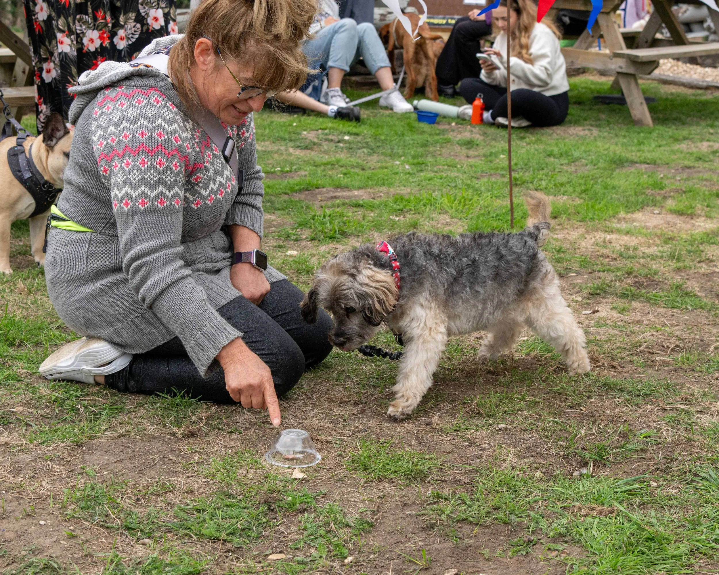 True Lovers Knot Dog Show 2026