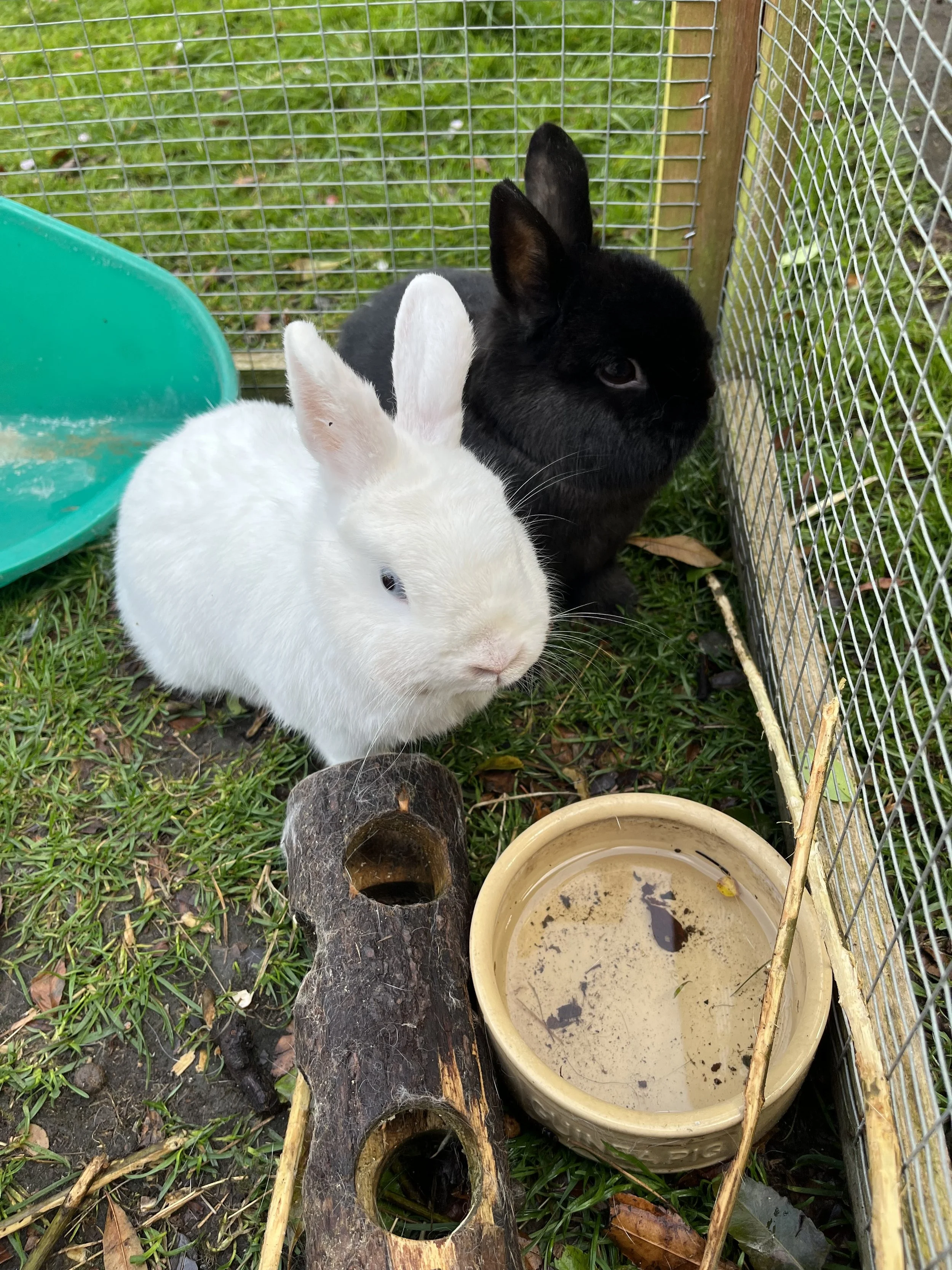 Roddy &amp; Maybelle