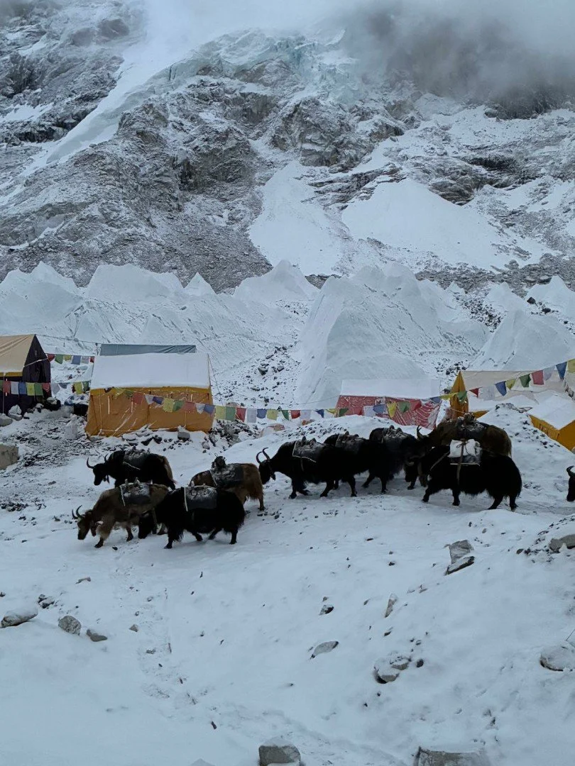 Sally Long's Everest Challenge