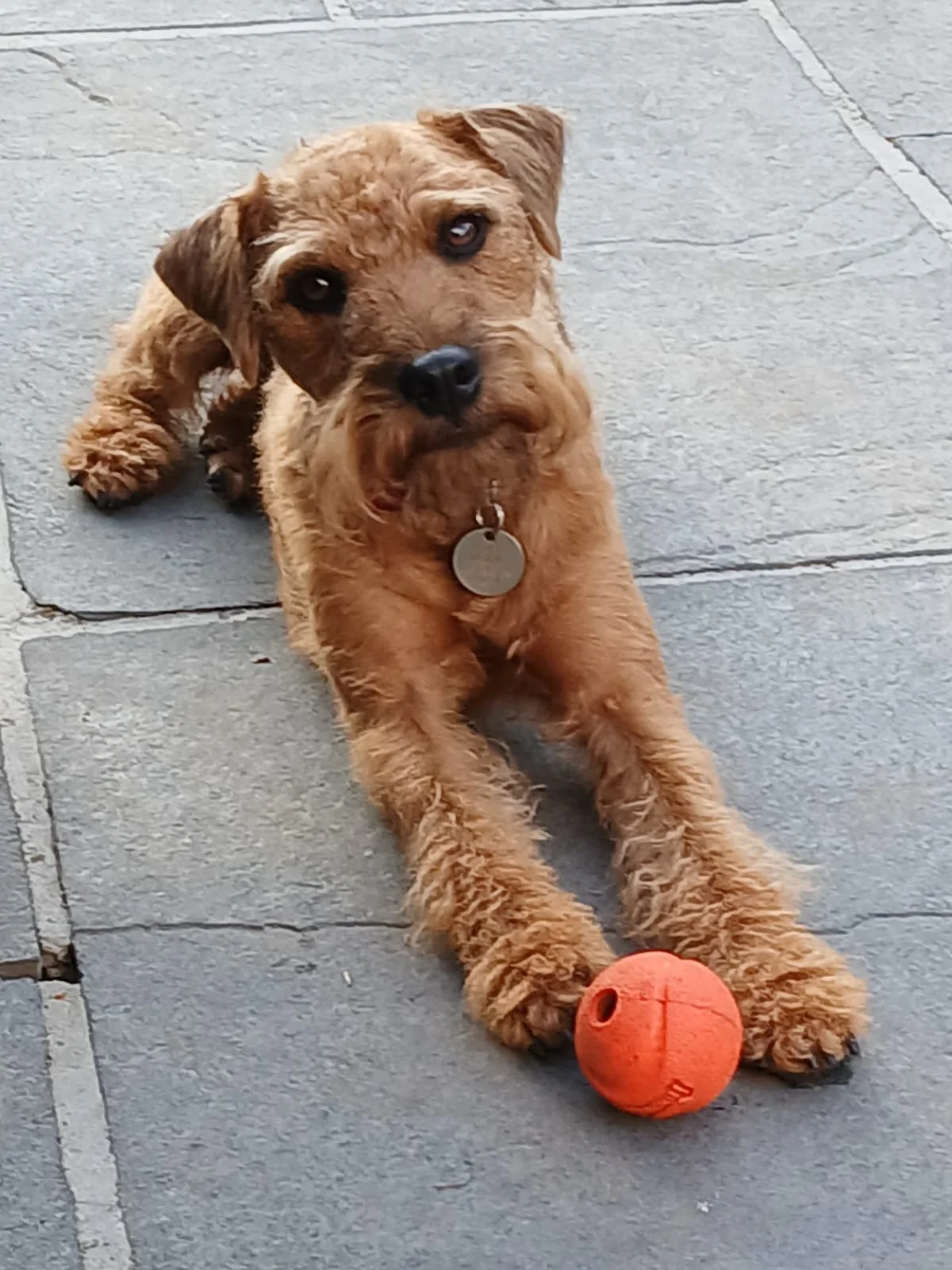 Ted (3 yrs)