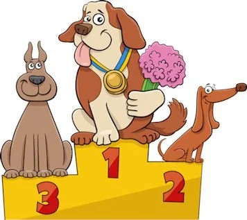 WTR Dog Show : Sunday 5th July