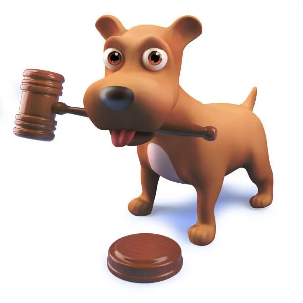 Auction Night – 25th October