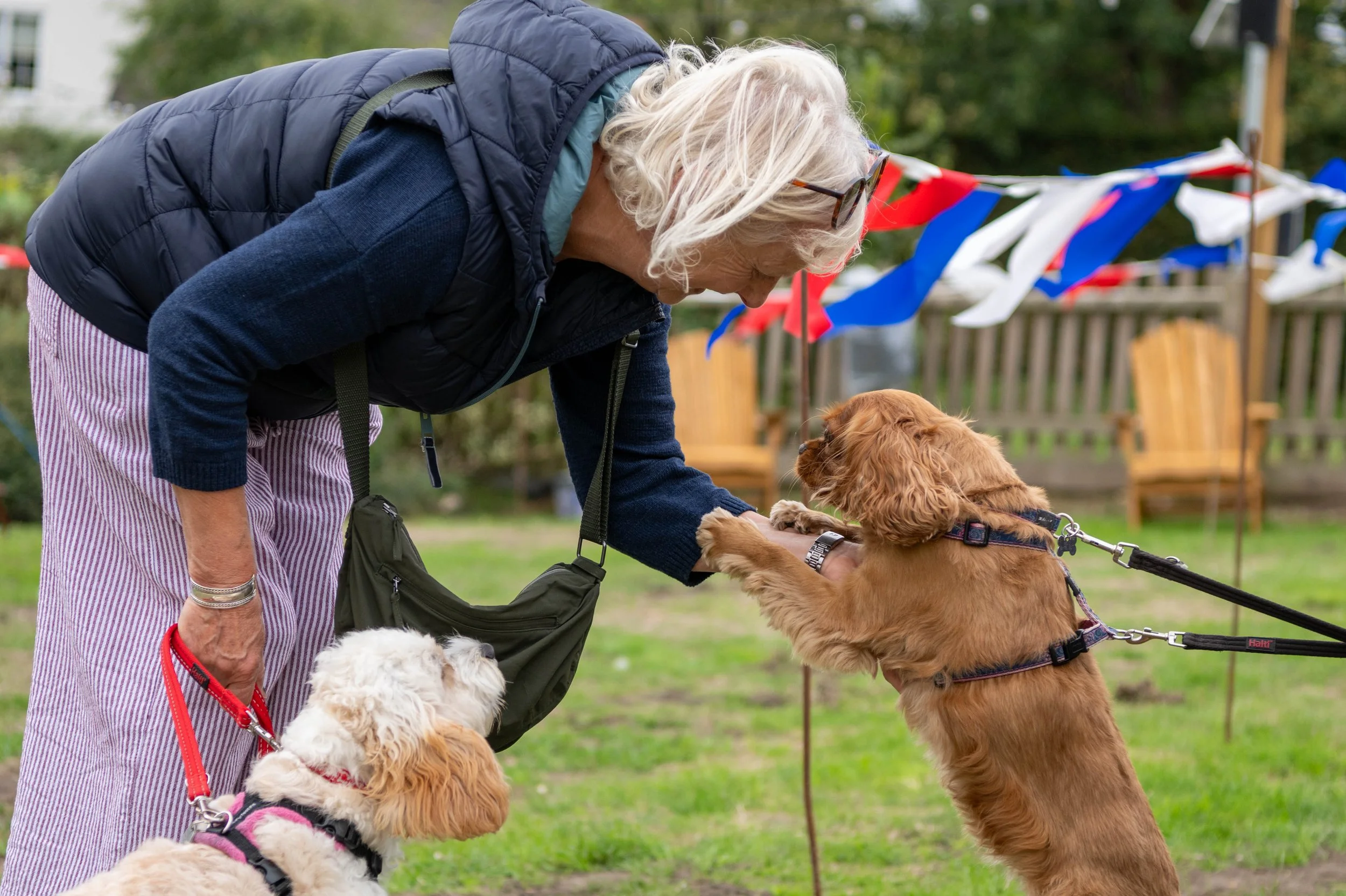 True Lovers Knot Dog Show 2026