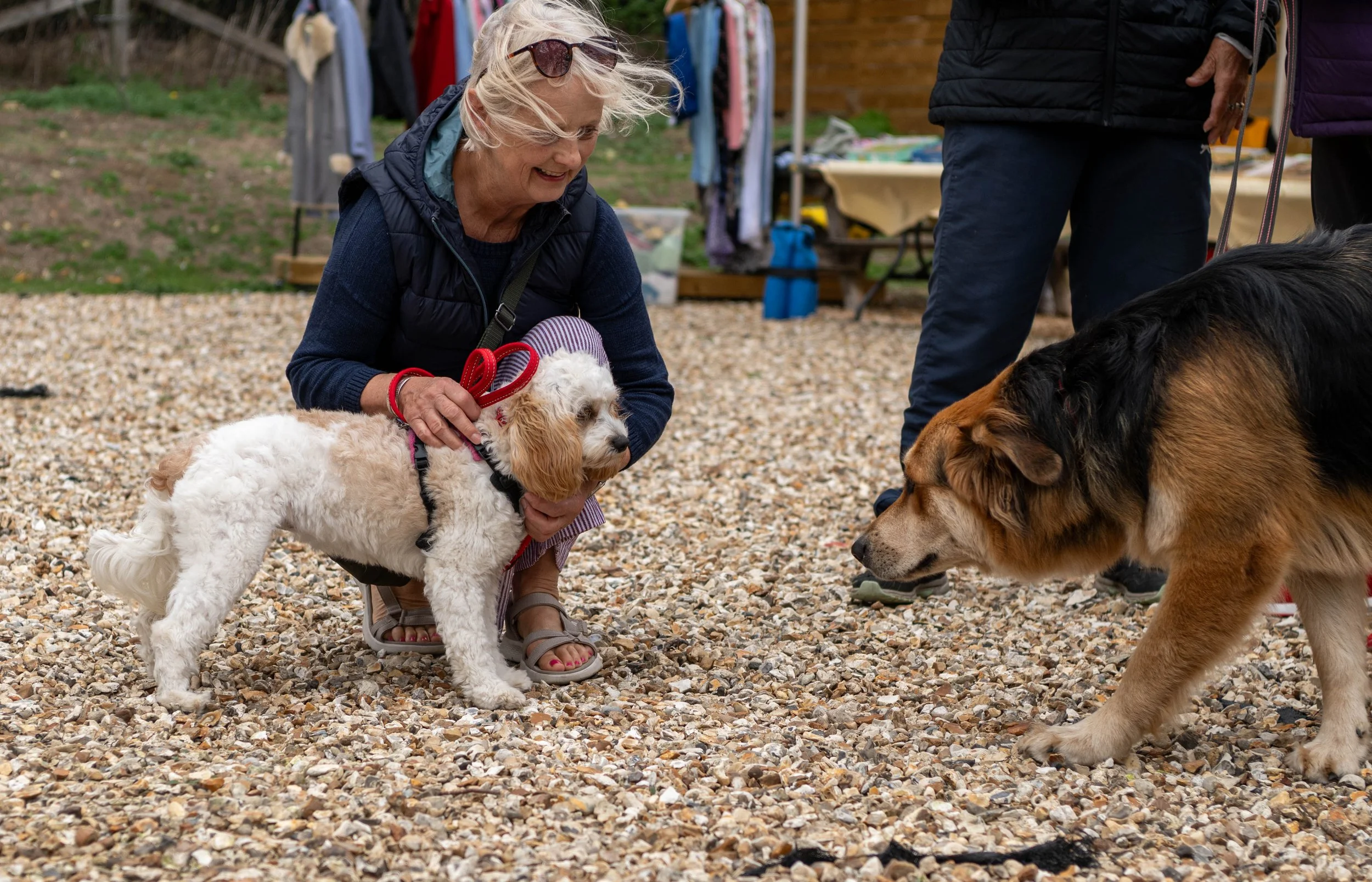 Waggy Tails dog show 2026 at True Lovers Knott-14.jpg