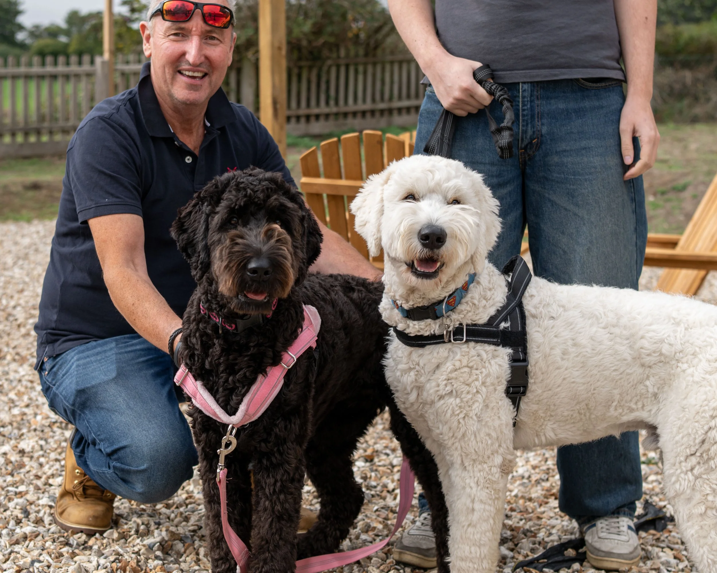 True Lovers Knot Dog Show 2026