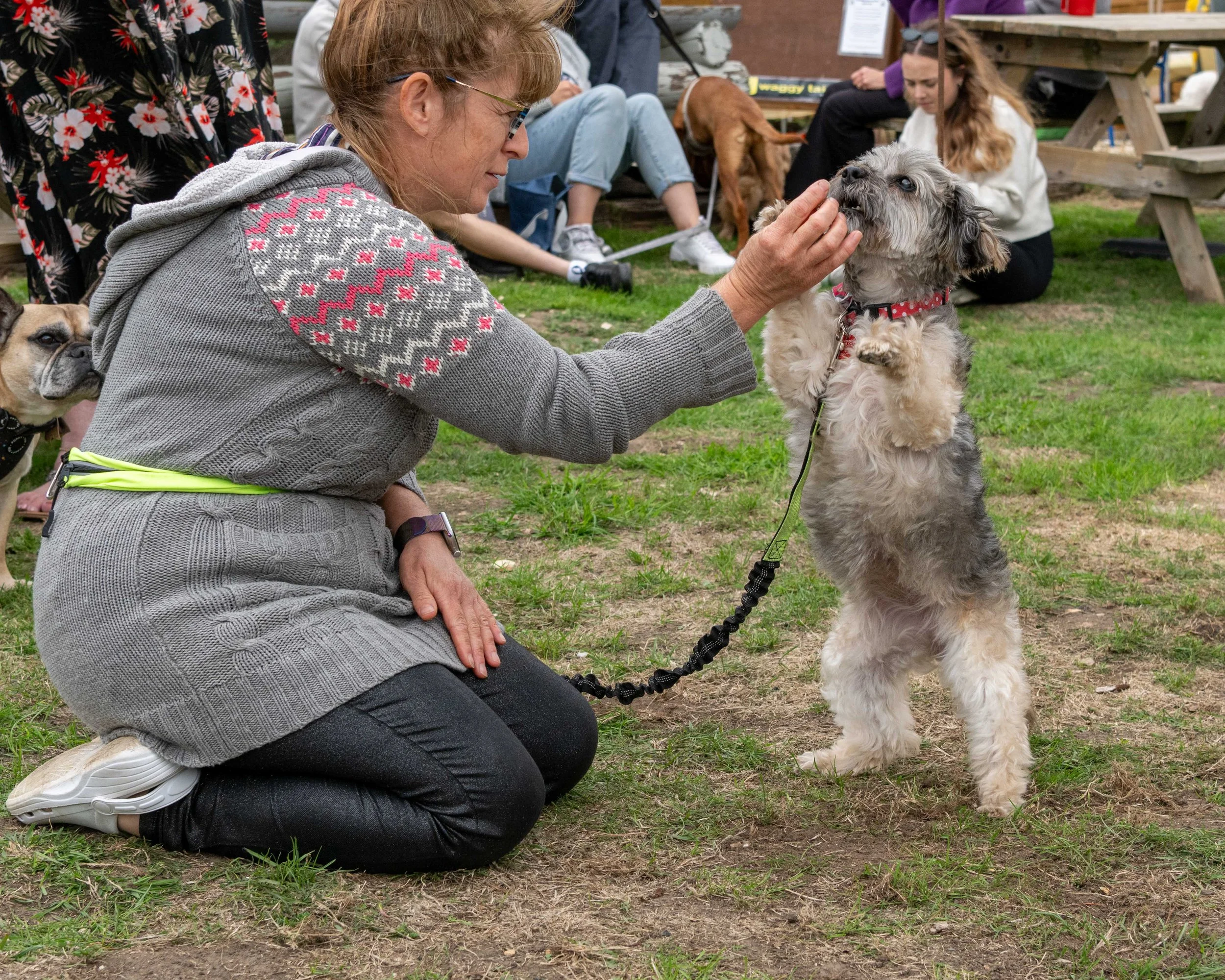 True Lovers Knot Dog Show 2026