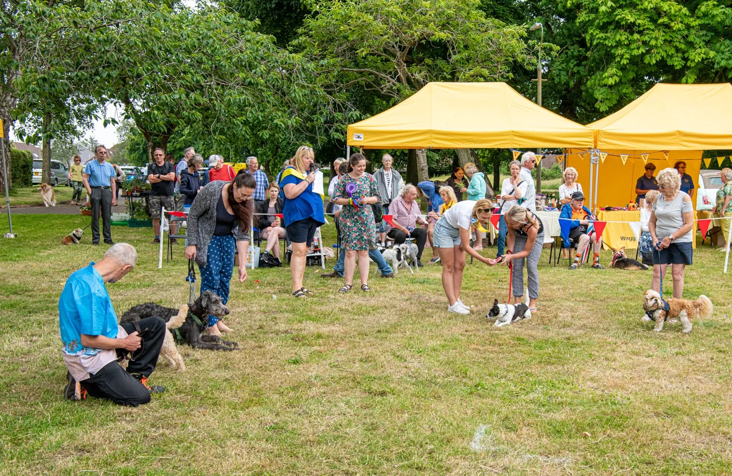 2022 Dog Show