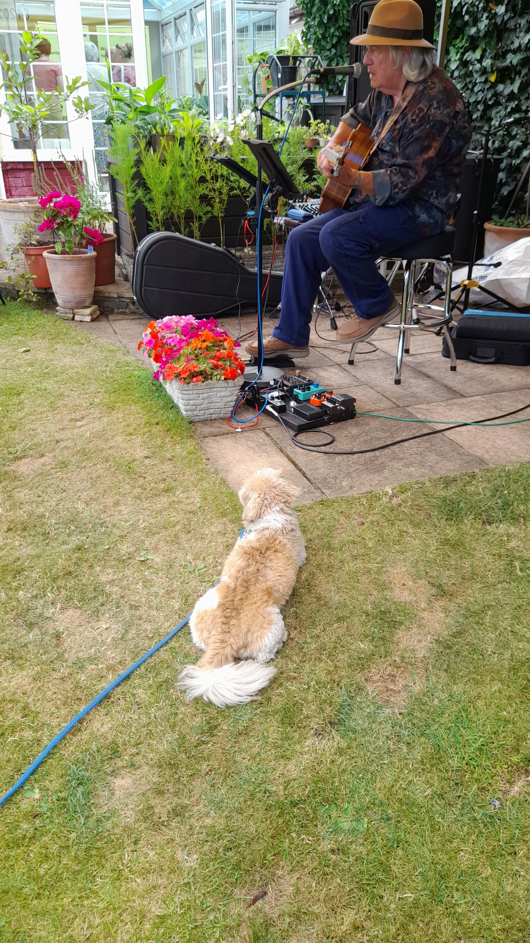 Paul & Nicky's Garden Party July 2026 : Teddy enjoying the music
