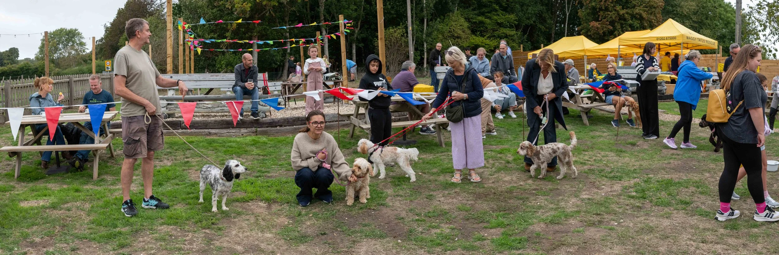 True Lovers Knot Dog Show 2026