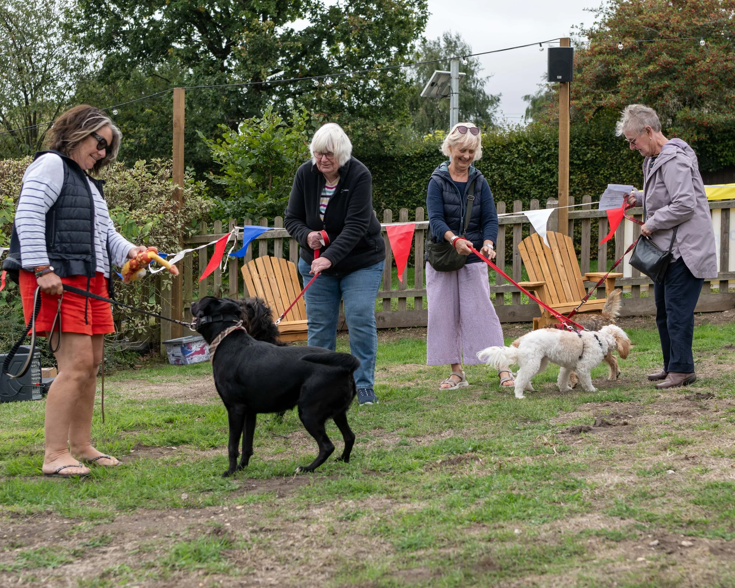 True Lovers Knot Dog Show 2026