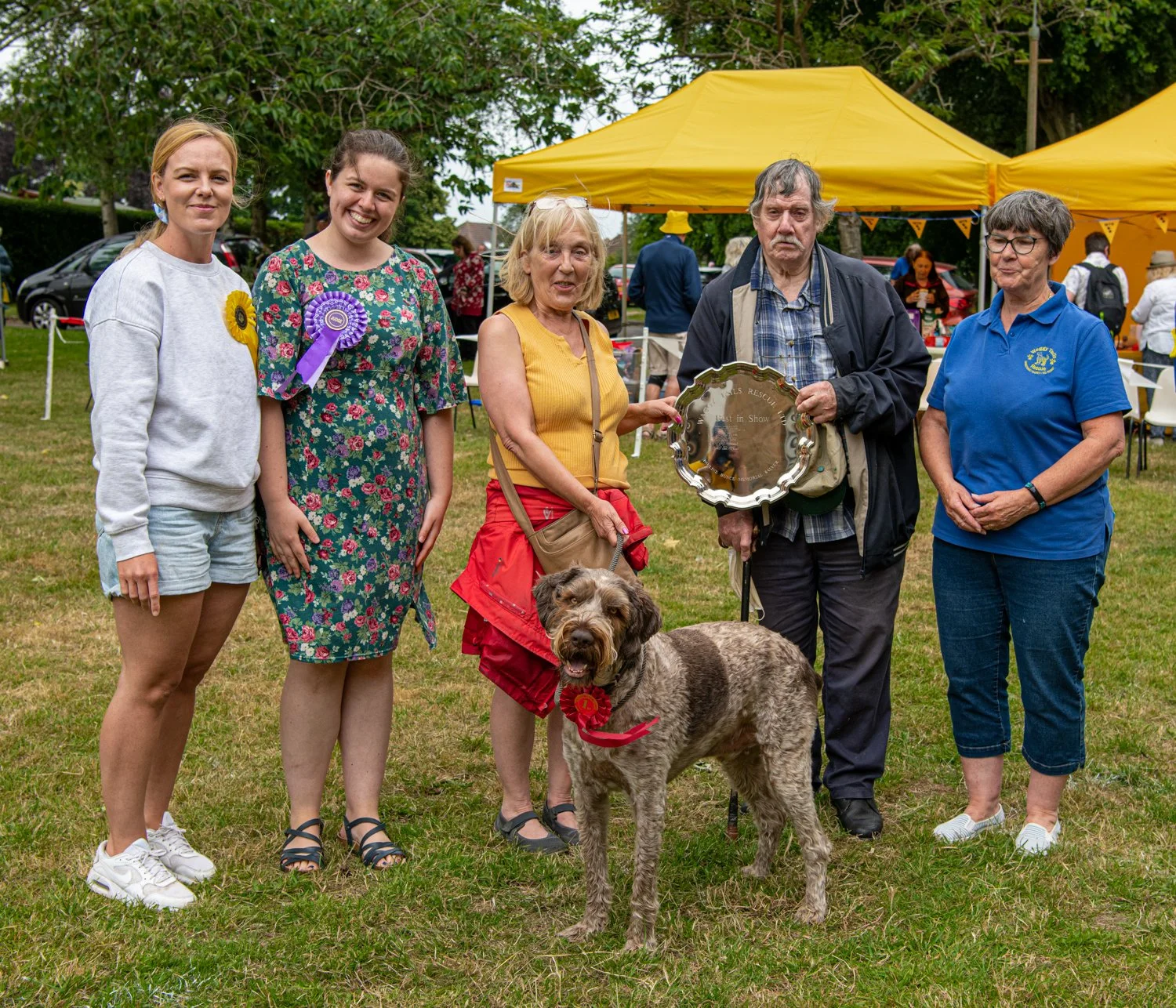 2022 Dog Show : Best in Show