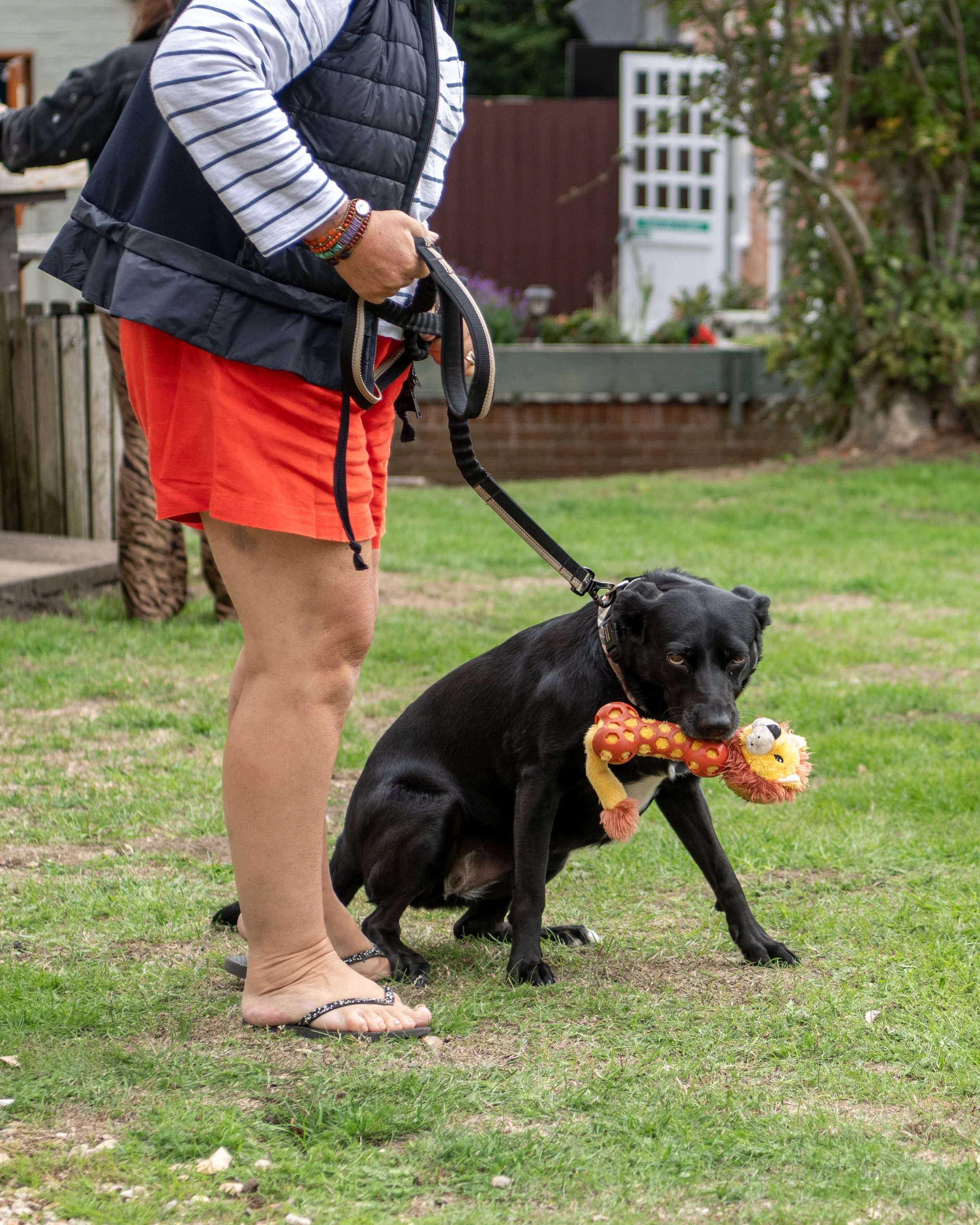 True Lovers Knot Dog Show 2026