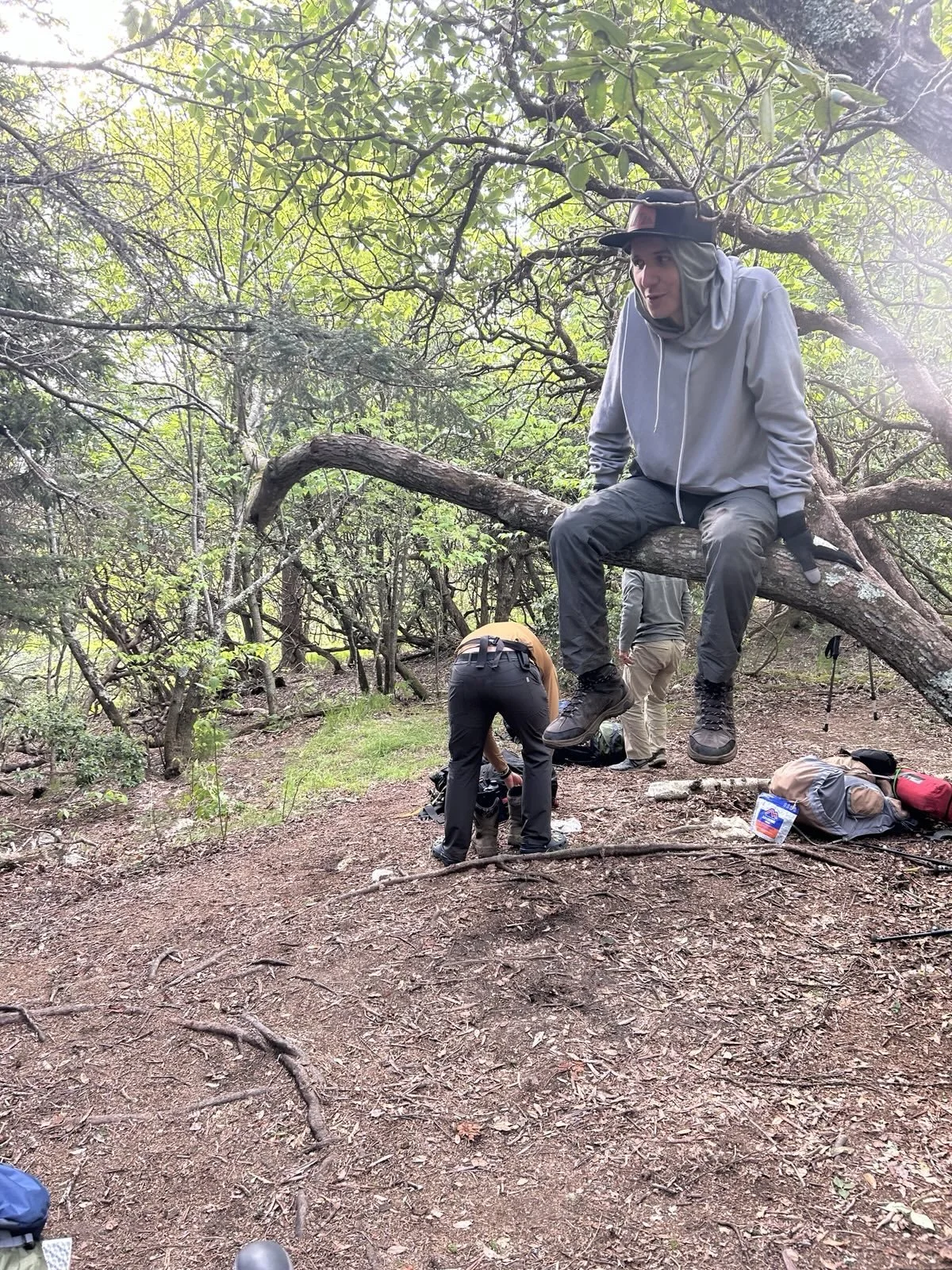 A person sitting on a tree branch in a wooded area, wearing a hoodie and a cap, with two people on the ground packing or unpacking gear, surrounded by backpacks and supplies.
