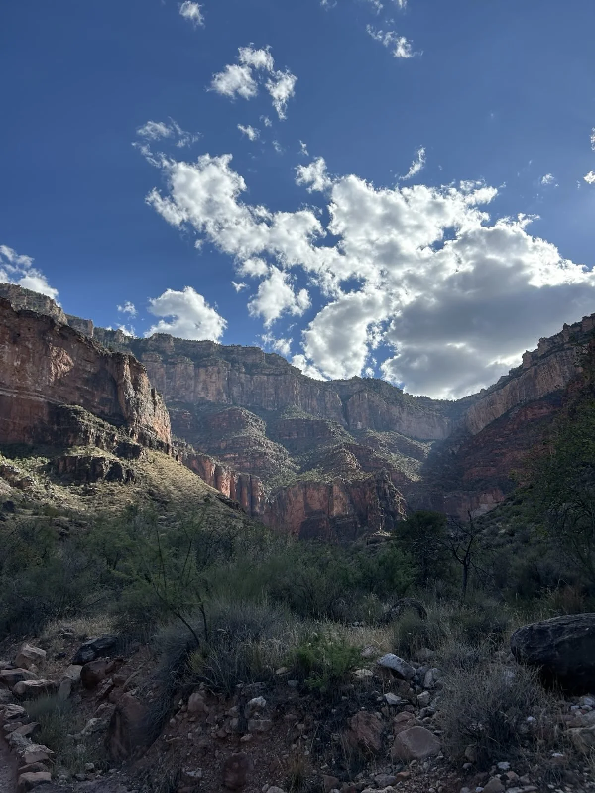 Photo of a canyon with layered red and brown rock cliffs, green vegetation, and a bright blue sky with fluffy white clouds.