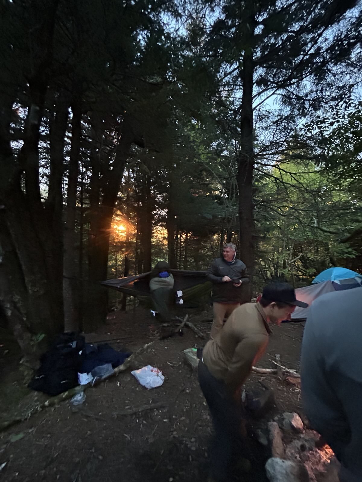 People camping in a forest with trees, tents, and a campfire at sunset.