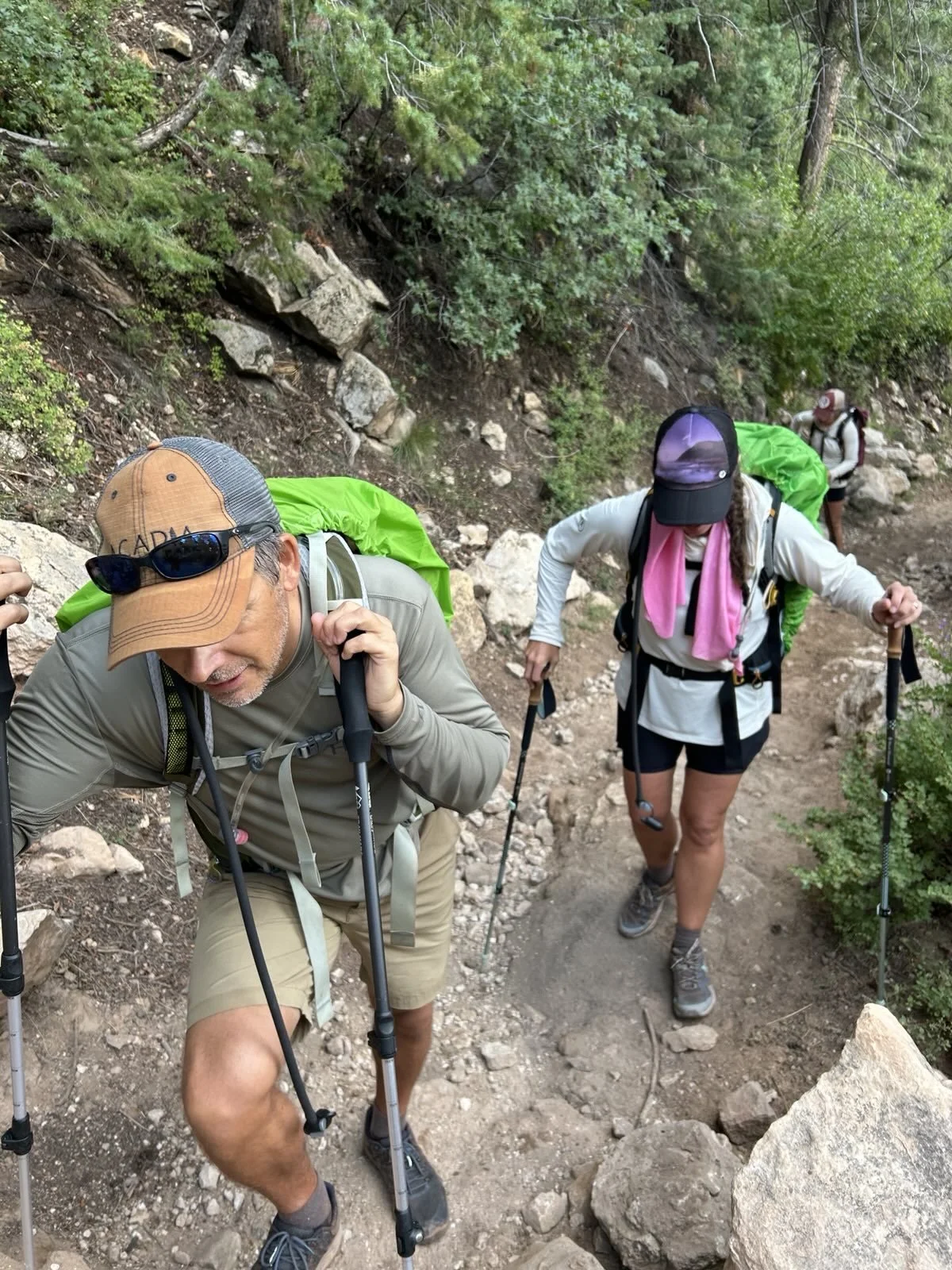 Three hikers climbing a rocky trail surrounded by greenery.