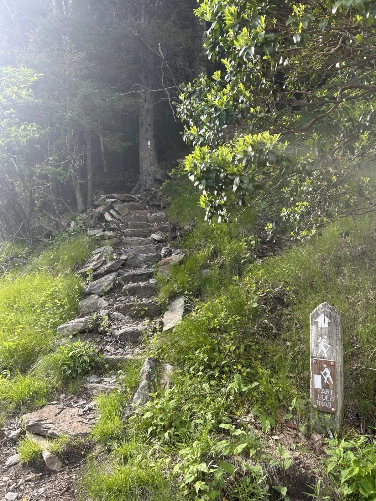 A hiking trail with rocky steps and greenery on both sides, leading into a wooded area. There is a small wooden sign with an arrow and hiking symbol that says 'ART LOEB TRAIL'.