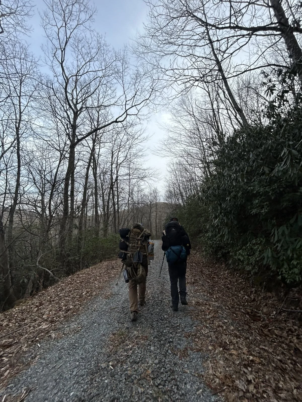 Two hikers walking on a dirt trail through a wooded area with leafless trees, carrying backpacks and hiking poles.