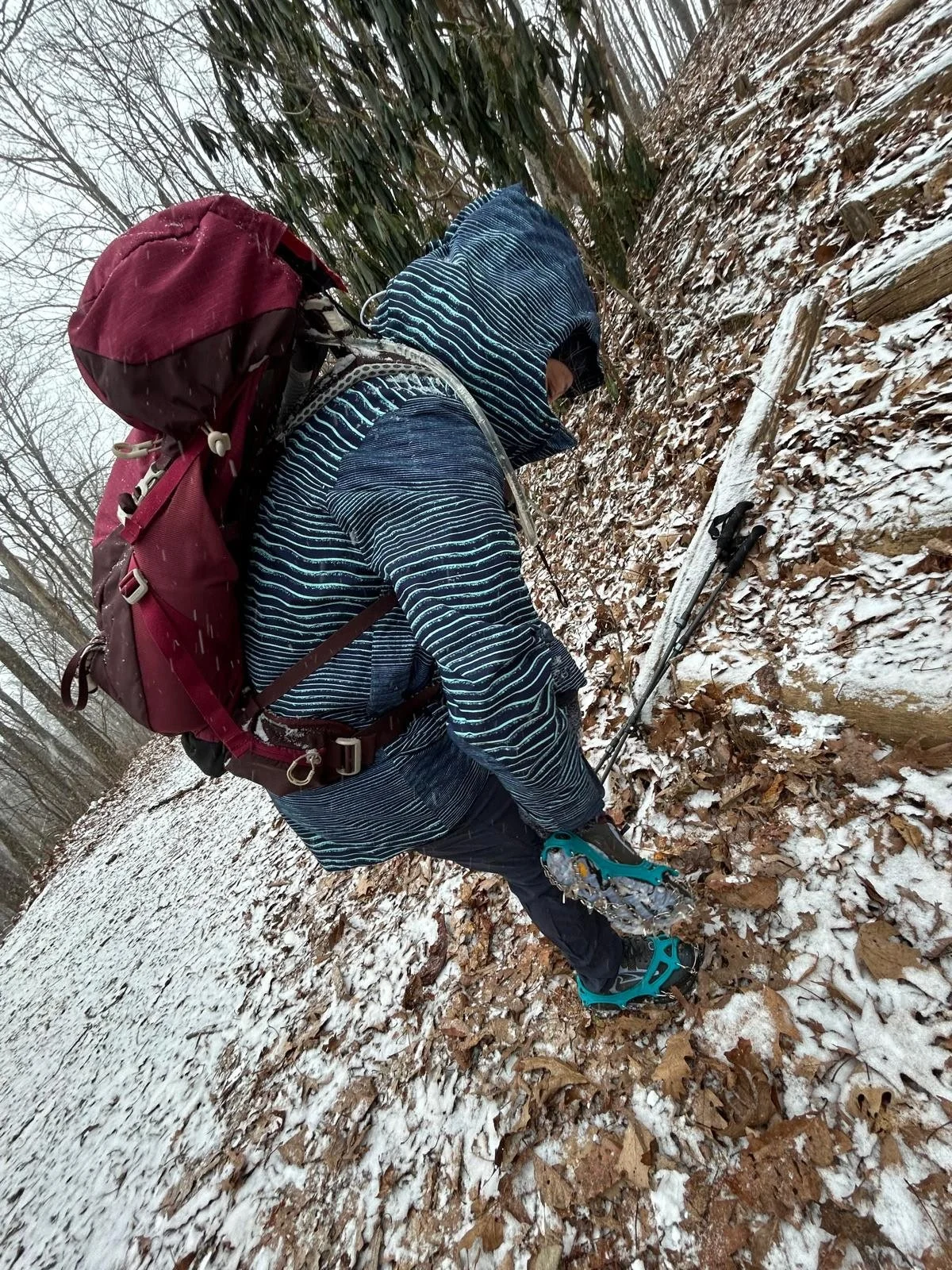 A person dressed in winter gear with a hood and face covering, carrying a red backpack, using an ice axe on a snowy, leaf-covered trail in a wooded area.