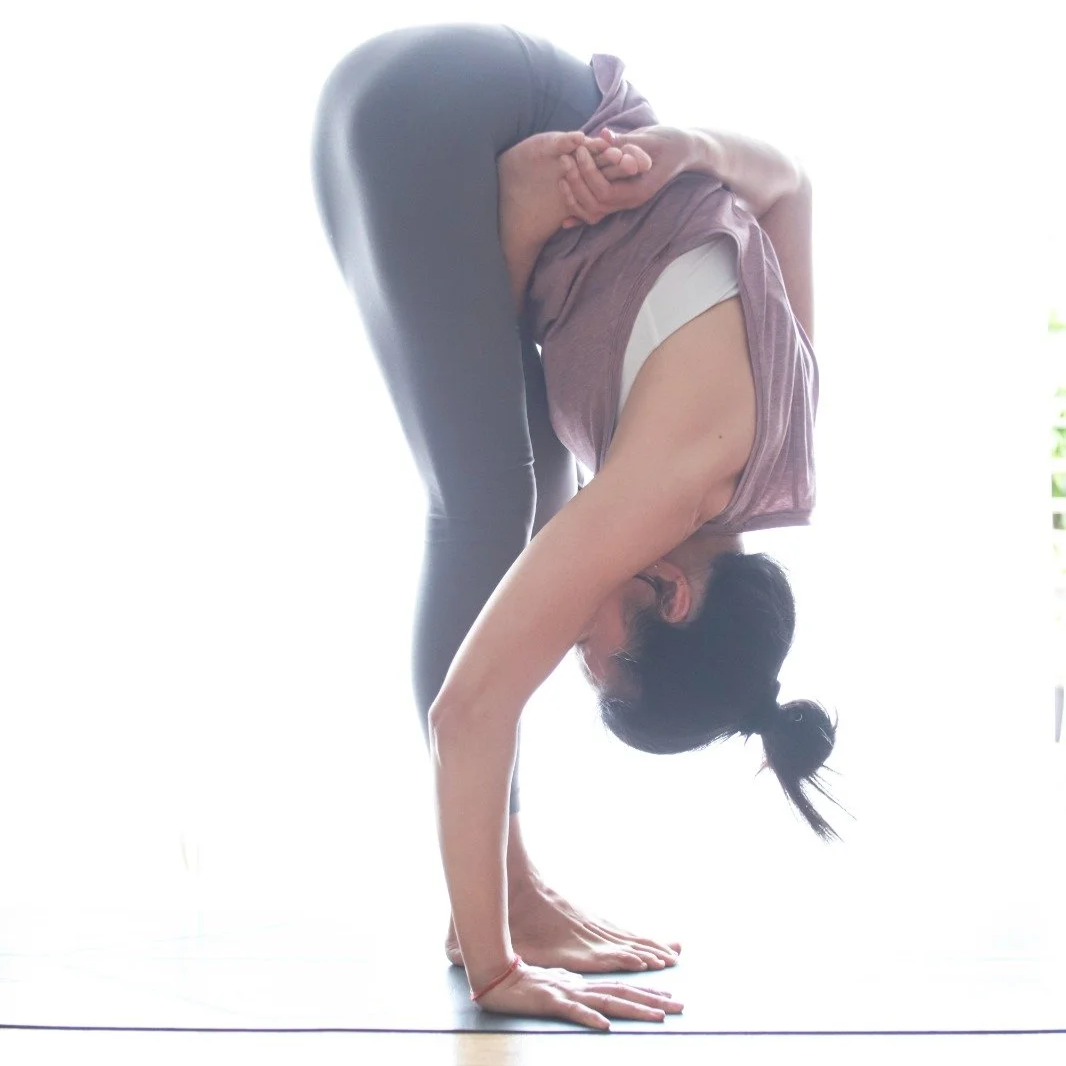 Mary Ma Yoga practicing yoga in a forward bend, with hands on the ground and head lowered, in a well-lit room.