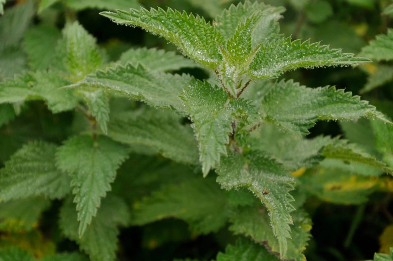 WhatsApp Image 2026-01-29 at 20.53.21 (4).jpeg