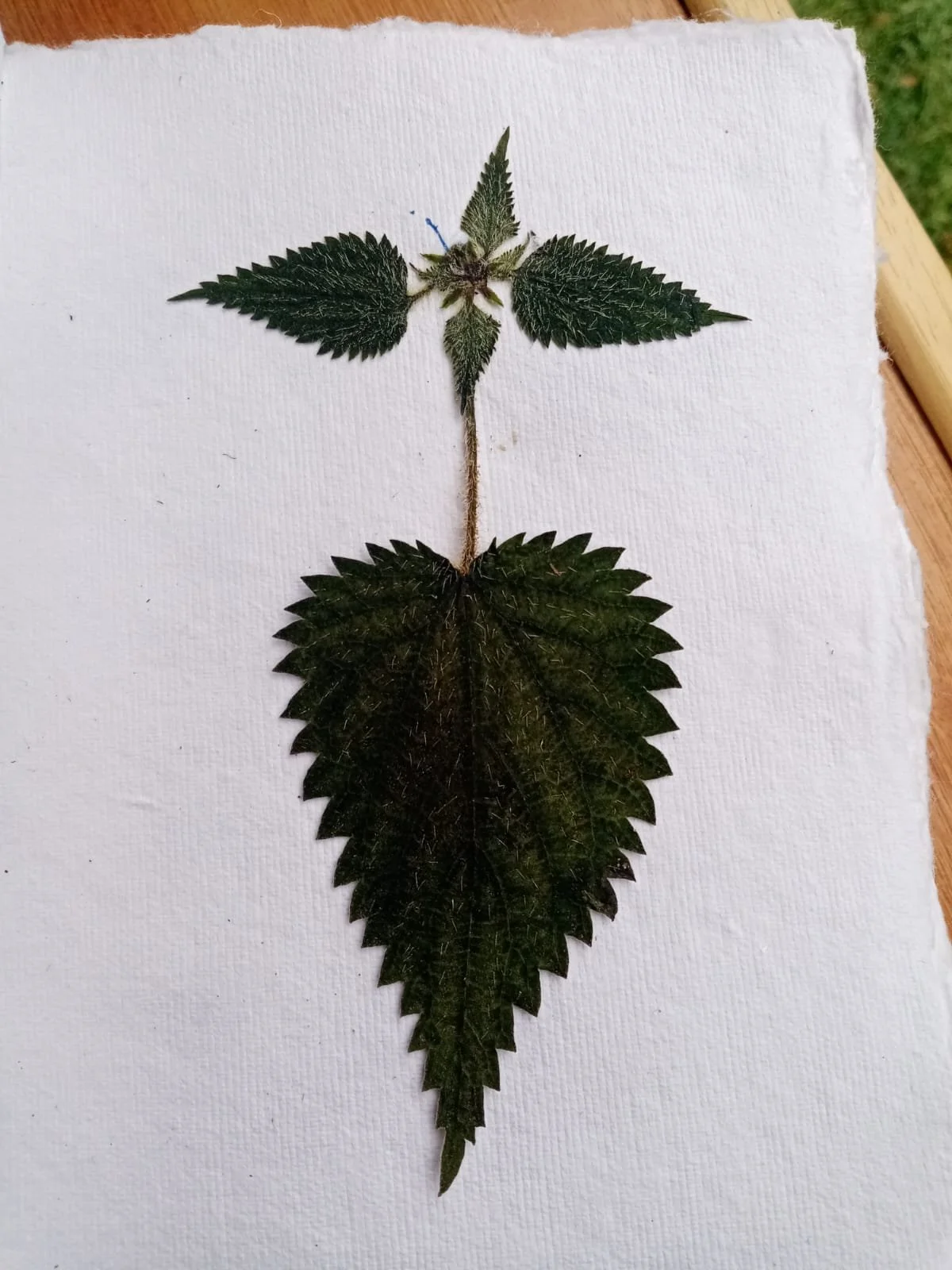 WhatsApp Image 2026-01-29 at 20.53.13.jpeg