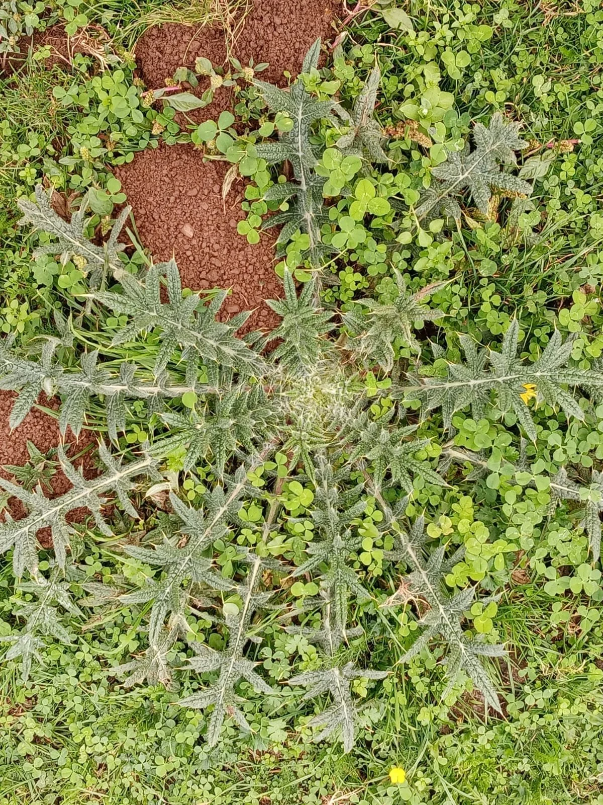 WhatsApp Image 2026-01-29 at 20.53.19.jpeg