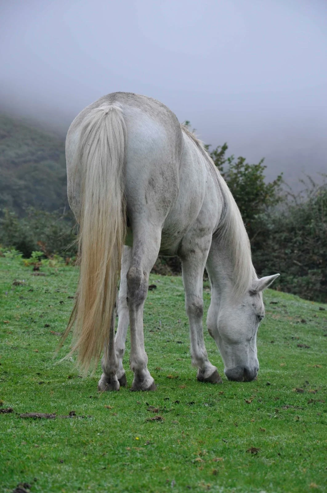 WhatsApp Image 2026-01-29 at 20.53.21 (3).jpeg